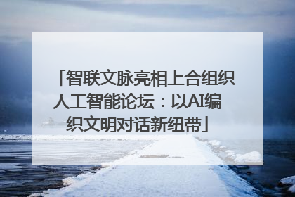 智联文脉亮相上合组织人工智能论坛：以AI编织文明对话新纽带