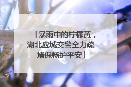 暴雨中的柠檬黄，湖北应城交警全力疏堵保畅护平安