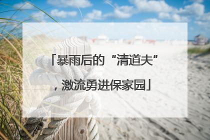 暴雨后的“清道夫”，激流勇进保家园