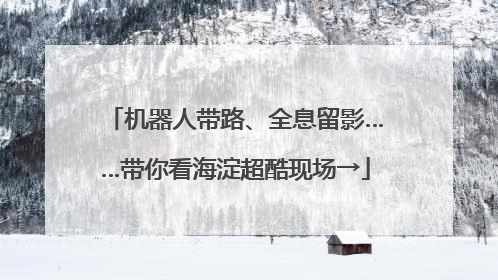 机器人带路、全息留影……带你看海淀超酷现场→