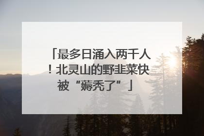 最多日涌入两千人！北灵山的野韭菜快被“薅秃了”