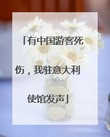 有中国游客死伤，我驻意大利使馆发声