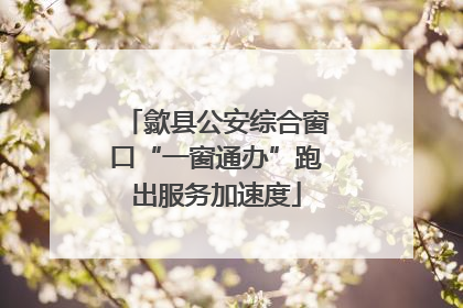 歙县公安综合窗口“一窗通办”跑出服务加速度