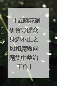 武晓花调研督导群众身边不正之风和腐败问题集中整治工作
