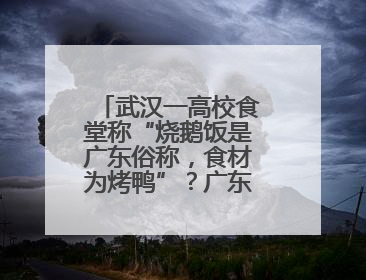 武汉一高校食堂称“烧鹅饭是广东俗称，食材为烤鸭”？广东多家烧鹅店：鸭是鸭鹅是鹅