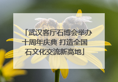 武汉客厅石博会举办十周年庆典 打造全国石文化交流新高地