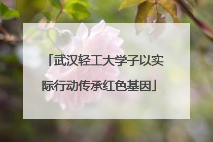 武汉轻工大学子以实际行动传承红色基因