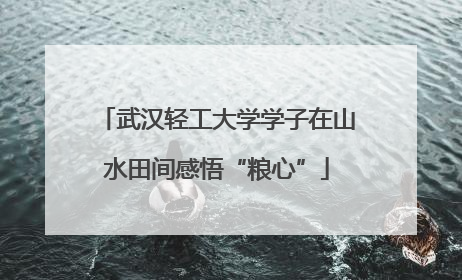 武汉轻工大学学子在山水田间感悟“粮心”