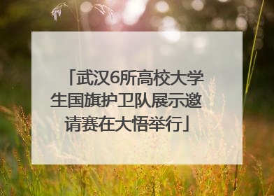 武汉6所高校大学生国旗护卫队展示邀请赛在大悟举行