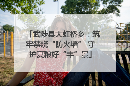 武陟县大虹桥乡：筑牢禁烧“防火墙” 守护夏粮好“丰”景