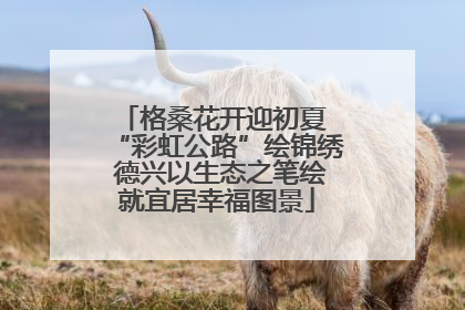 格桑花开迎初夏 “彩虹公路”绘锦绣 德兴以生态之笔绘就宜居幸福图景