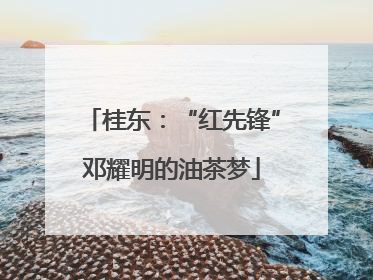 桂东：“红先锋”邓耀明的油茶梦