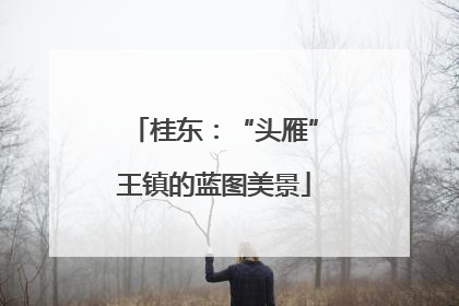 桂东：“头雁”王镇的蓝图美景