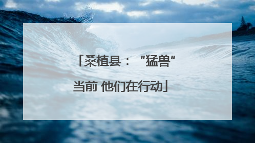 桑植县：“猛兽”当前 他们在行动