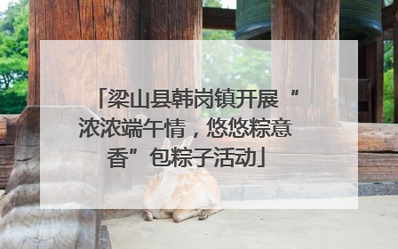 梁山县韩岗镇开展“浓浓端午情，悠悠粽意香”包粽子活动