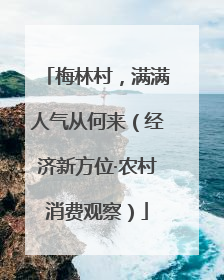 梅林村，满满人气从何来（经济新方位·农村消费观察）