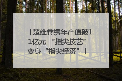 楚雄彝绣年产值破11亿元 “指尖技艺”变身“指尖经济”