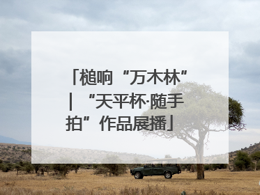 槌响“万木林”｜“天平杯·随手拍”作品展播