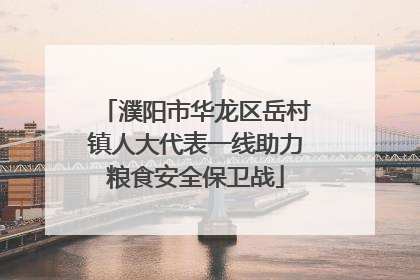 濮阳市华龙区岳村镇人大代表一线助力粮食安全保卫战