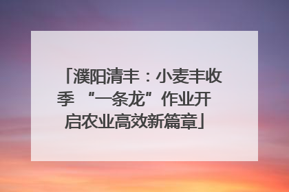 濮阳清丰：小麦丰收季 “一条龙”作业开启农业高效新篇章