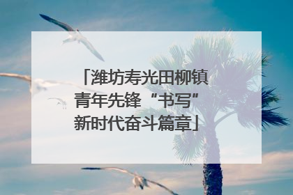 潍坊寿光田柳镇青年先锋“书写”新时代奋斗篇章