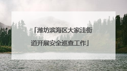 潍坊滨海区大家洼街道开展安全巡查工作