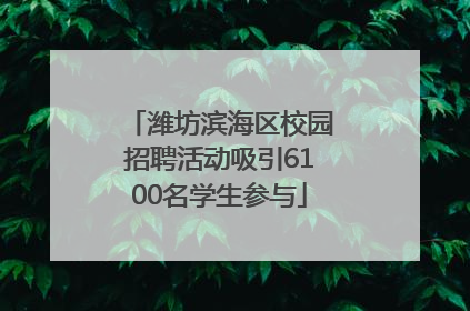 潍坊滨海区校园招聘活动吸引6100名学生参与