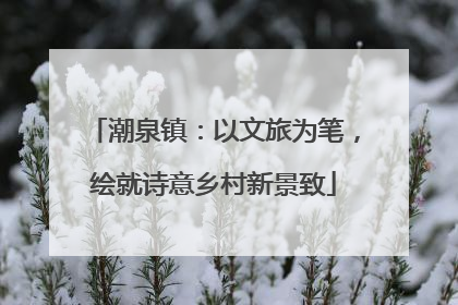 潮泉镇：以文旅为笔，绘就诗意乡村新景致