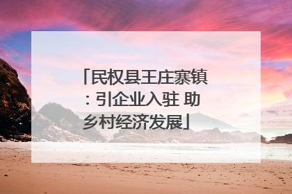 民权县王庄寨镇：引企业入驻 助乡村经济发展