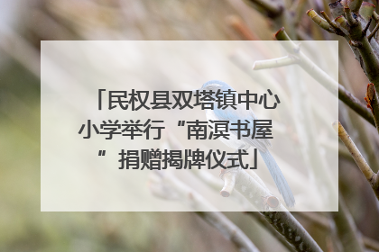 民权县双塔镇中心小学举行“南溟书屋”捐赠揭牌仪式