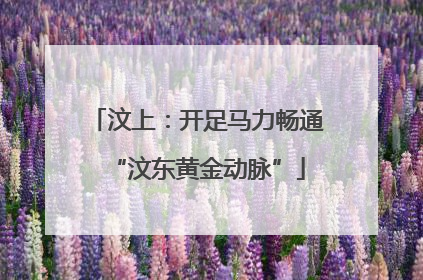汶上：开足马力畅通“汶东黄金动脉”