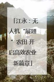 江永：无人机“展翅”农田 开启高效农业新篇章