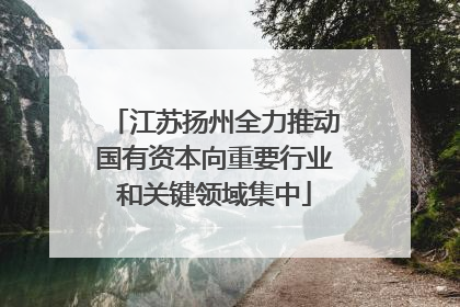 江苏扬州全力推动国有资本向重要行业和关键领域集中
