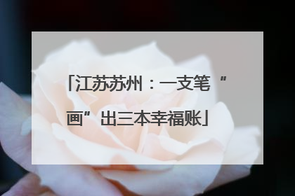 江苏苏州：一支笔“画”出三本幸福账