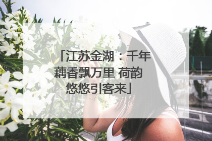 江苏金湖：千年藕香飘万里 荷韵悠悠引客来