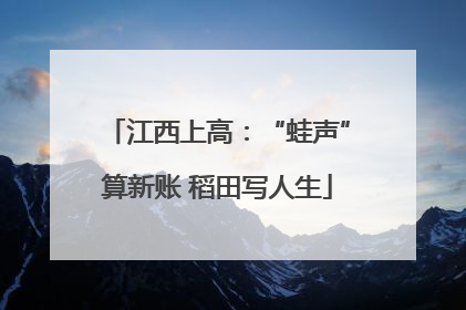 江西上高：“蛙声”算新账 稻田写人生
