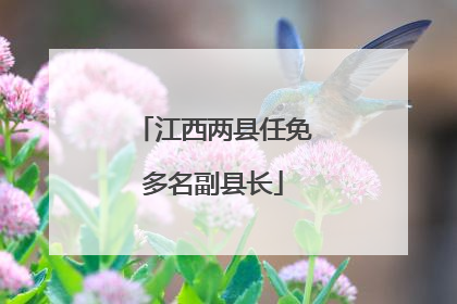 江西两县任免多名副县长