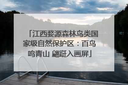 江西婺源森林鸟类国家级自然保护区：百鸟鸣青山 翩跹入画屏
