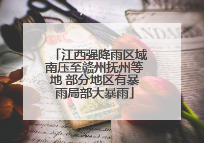 江西强降雨区域南压至赣州抚州等地 部分地区有暴雨局部大暴雨