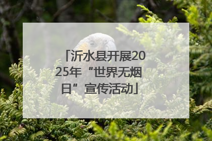 沂水县开展2025年“世界无烟日”宣传活动