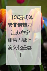 沉浸式体验非遗魅力 江苏阜宁庙湾古城上演文化盛宴
