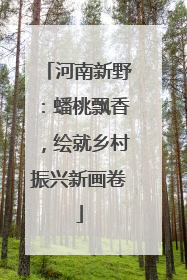 河南新野：蟠桃飘香，绘就乡村振兴新画卷