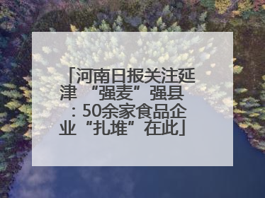 河南日报关注延津 “强麦”强县：50余家食品企业“扎堆”在此