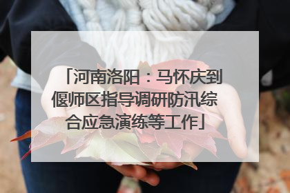 河南洛阳：马怀庆到偃师区指导调研防汛综合应急演练等工作