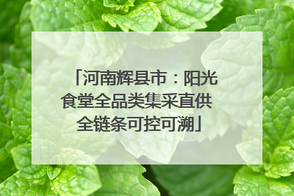 河南辉县市：阳光食堂全品类集采直供 全链条可控可溯