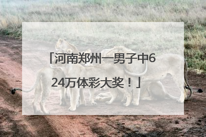 河南郑州一男子中624万体彩大奖！