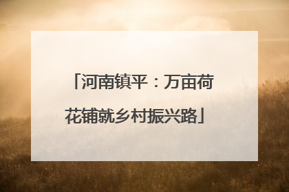 河南镇平：万亩荷花铺就乡村振兴路