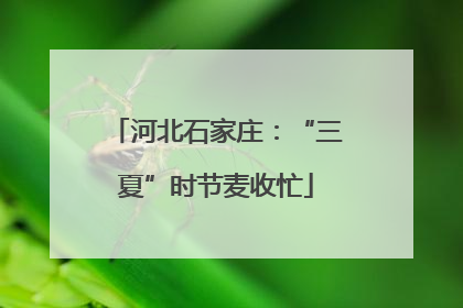 河北石家庄：“三夏”时节麦收忙