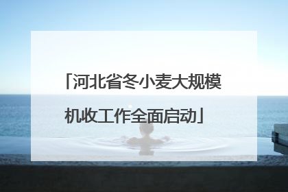 河北省冬小麦大规模机收工作全面启动
