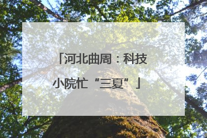 河北曲周：科技小院忙“三夏”